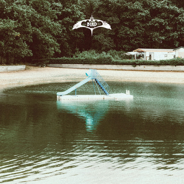 The Bird Experience - The Bird Experience