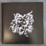 Celeste (4) - Infidèle(s)