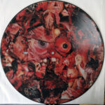 Carcass - Symphonies Of Sickness
